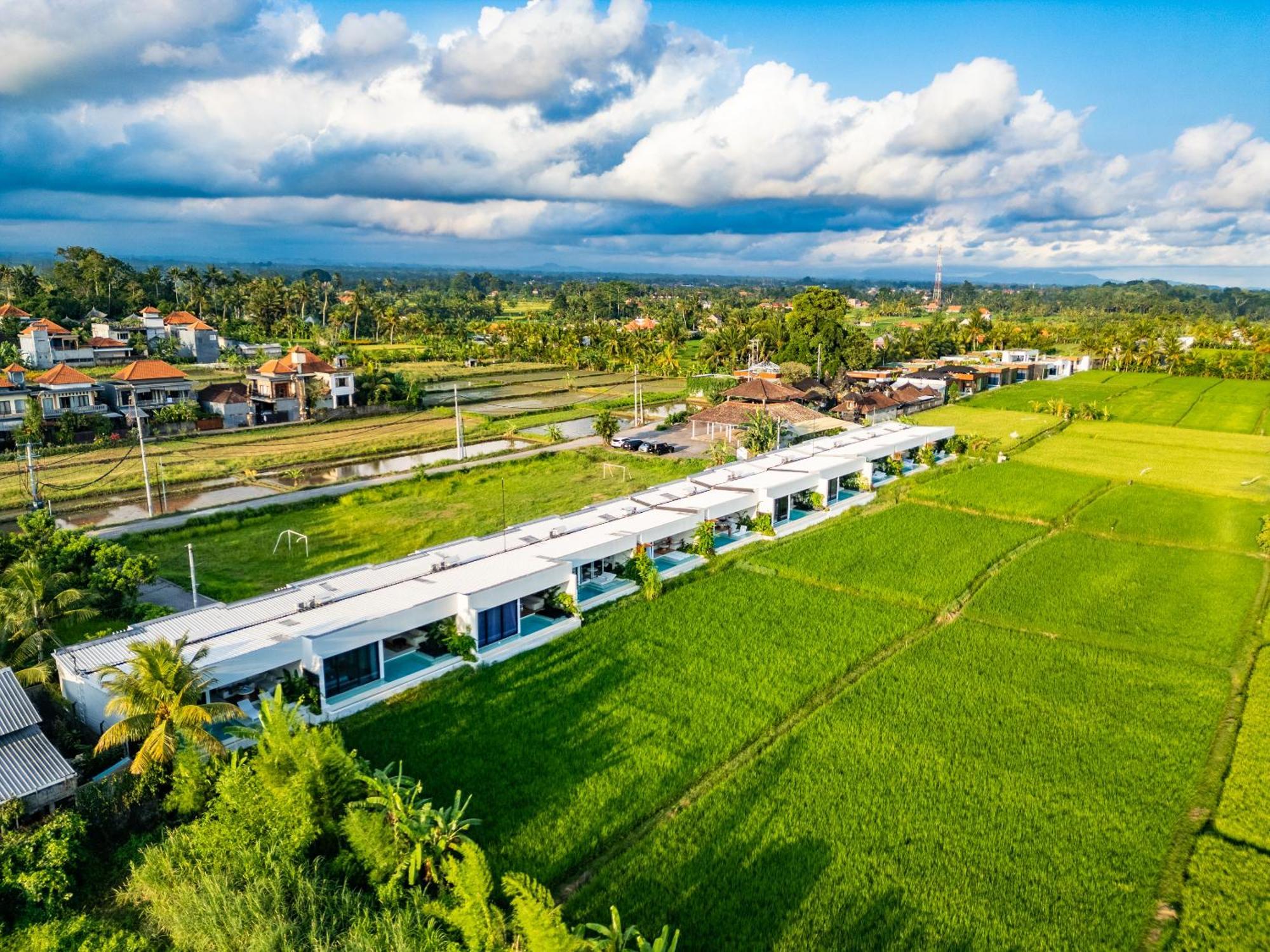 Anyuta Rai Villa Ubud المظهر الخارجي الصورة